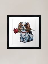 Cavalier King Charles Spaniel