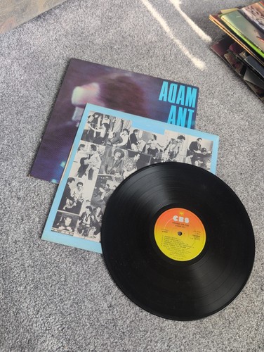Adam ant friend - adam, ant-friend
