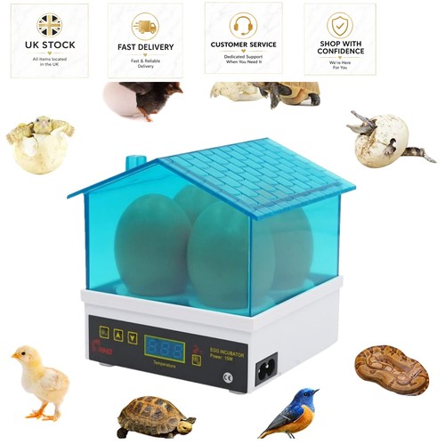 Digital mini incubator for - digital,