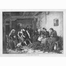 Hop Picking in Germany - Antique Print 1872