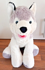 Siberian Husky Grey White Wolf