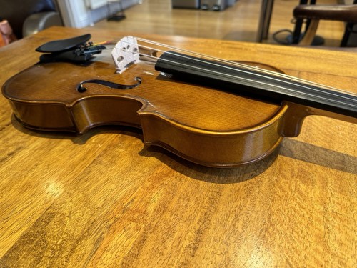 Stentor student viola - stentor,