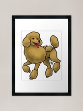 Dog - Standard Poodle -