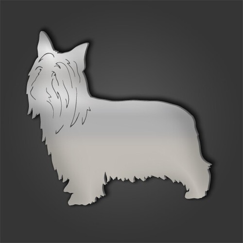 Silky terrier silver acrylic - terrier,