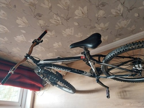 Specialized mountain bike - mountain,