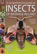 A Comprehensive Guide to Insects of Britain and Ireland - Brock, Paul D.