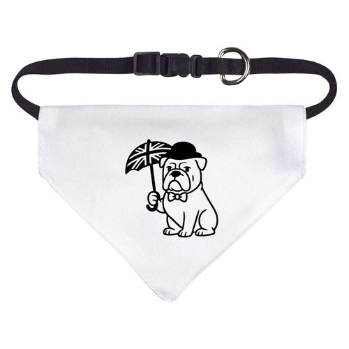 British bulldog dog cat - /,