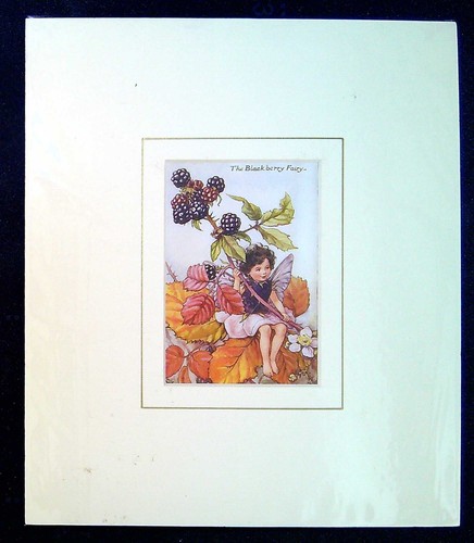 Barker cicely mary mounted - cicely,