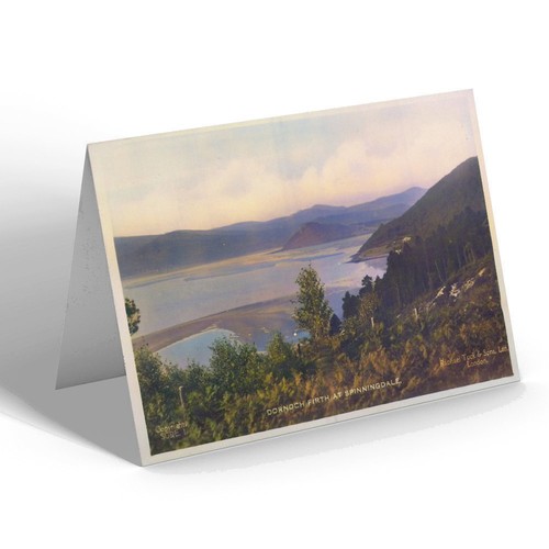 Greeting card vintage - greeting,