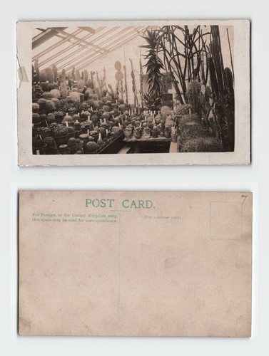 Postcard edwardian - -,