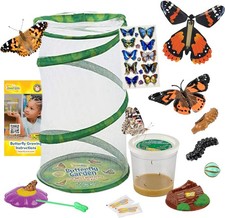 Insect Lore Butterfly Garden -