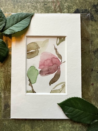 Aceo watercolour rose mini - aceo,