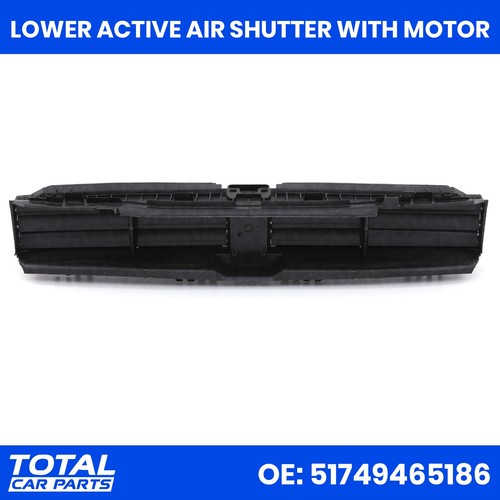 Lower active air shutter - shutter, with