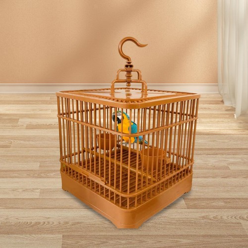Bird cage birds nest - nest, indoor