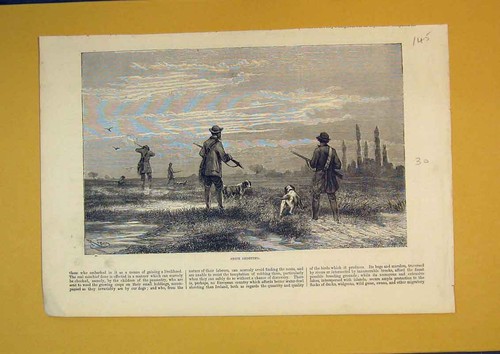 Original old antique print - antique,