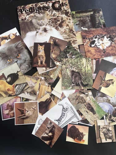 Vintage cats collage - , art
