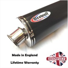 Suzuki SV650 (03-15) Beowulf