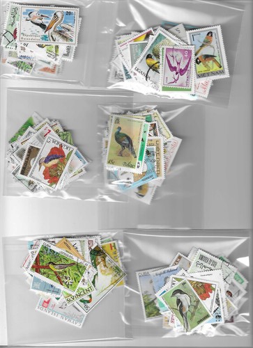 Birds thematic - wild),