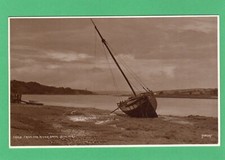 Bideford from the River Bank