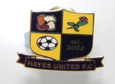 Hayes United Football Club