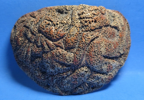 Pre columbian mayan carved - pre-columbian,