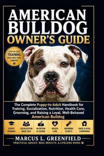 American bulldog owner - bulldog, owner's