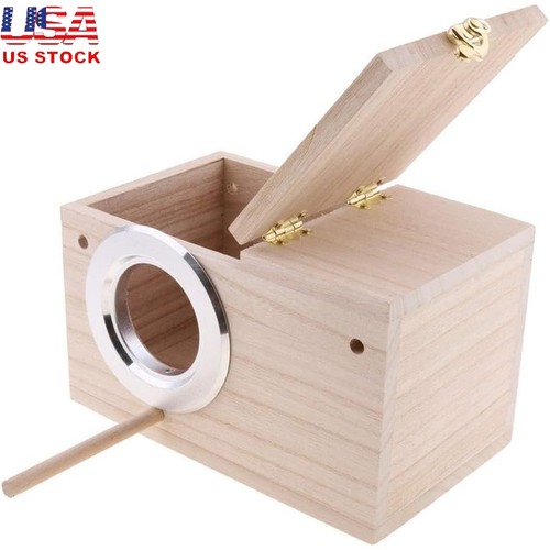 Natural pine bird nesting - pine, box
