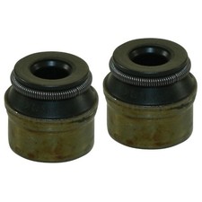 Valve Stem Gasket Set 2 Piece