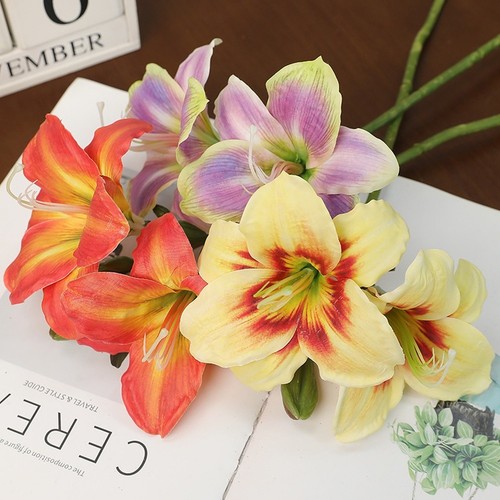 Flexible stem clivia - clivia, blossom