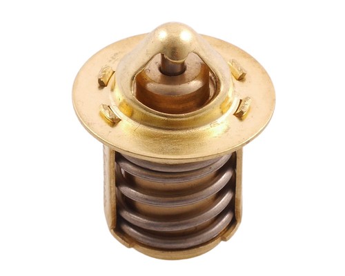 Thermostat for gilera - for, sm