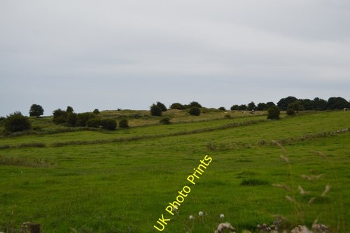 Photo 6x4 grazing - grazing, by