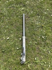 Paioli Fork Leg Beta Rev 3