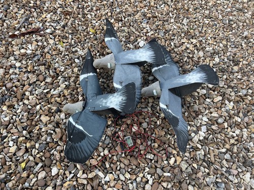 Pigeon flapper decoys 1 - decoys,,
