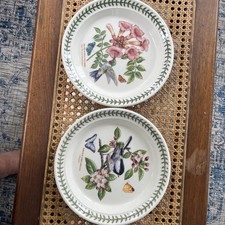 Portmeirion Botanic Garden