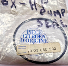 Citroen BX Hydraulic Pump Seal