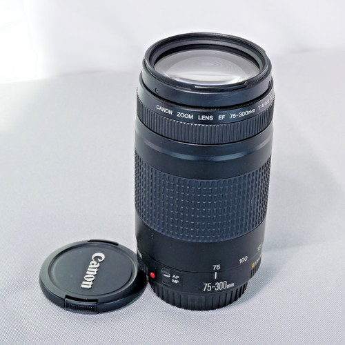 Canon 300mm 5 6 - canon, ef