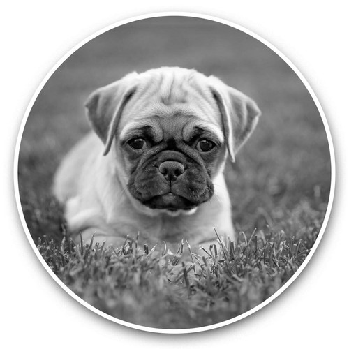 Vinyl stickers 5cm - vinyl,