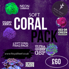 🪸SPECIAL SOFT CORAL 5 PACK