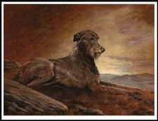 IRISH WOLFHOUND LOVELY DOG ART