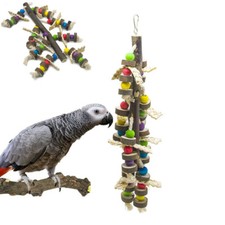Giant macaw parrot - macaw, swing