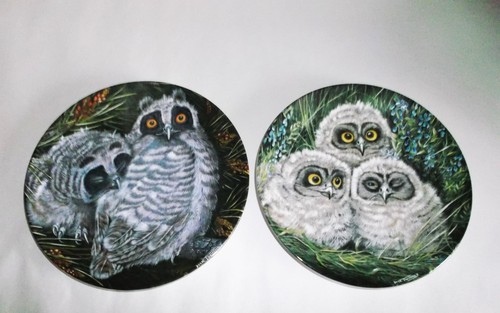 Wedgwood the baby owls - x,