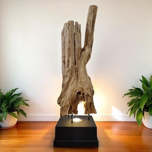 Driftwood floor lamp - floor,