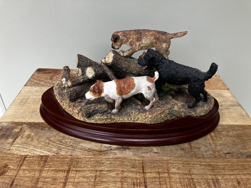 Border fine arts terriers - border,