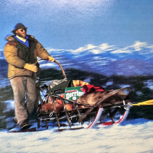 1992 perrier water - perrier, dog