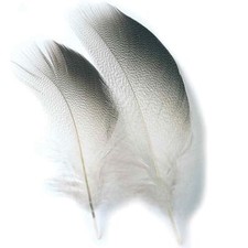 Mallard Duck Drake Bronze