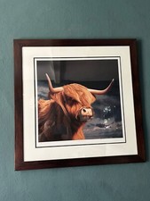 Paul James - The Big Yin - Highland Bull - limited edition giclee print signed.