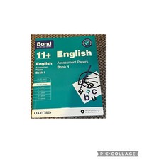 #581 11+ English Assessment