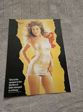 FPOT300 MAGAZINE PIN UP