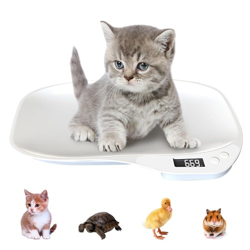 Pet scales for small - pet,
