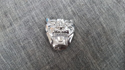 Jaguar type front - jaguar,
